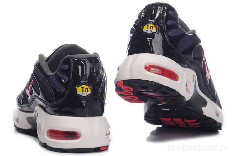 chaussure homme tn vendange paris air max tn 2011 nouveaustyle.JPG